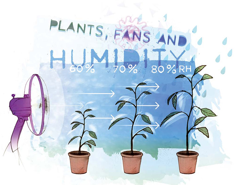Plant Environment