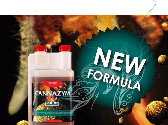 CANNAZYM New and Improved