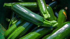 Grow it yourself: Zucchini