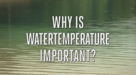 Water temperature for your plants