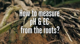 How to measure pH & EC from the roots?