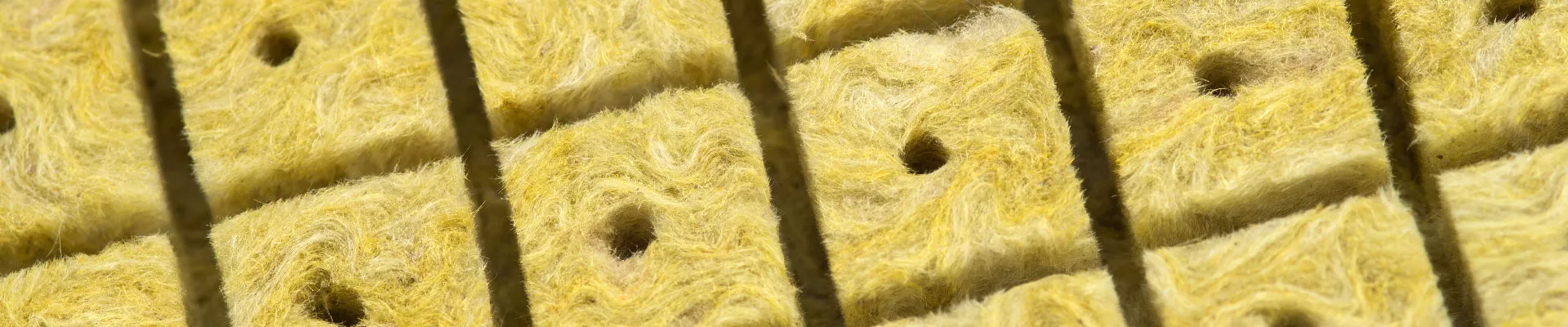 CANNA roots in rockwool systems
