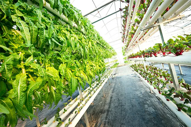 Air quality control measures for a super harvest