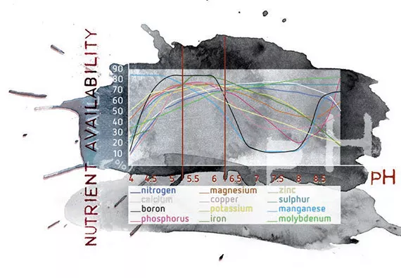 An interactive relationship: Plant and substrate influence on pH and vice versa