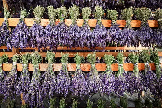 Preventing Contaminants for Bountiful Harvests 