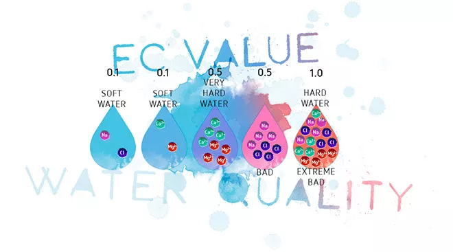 What’s in your water?