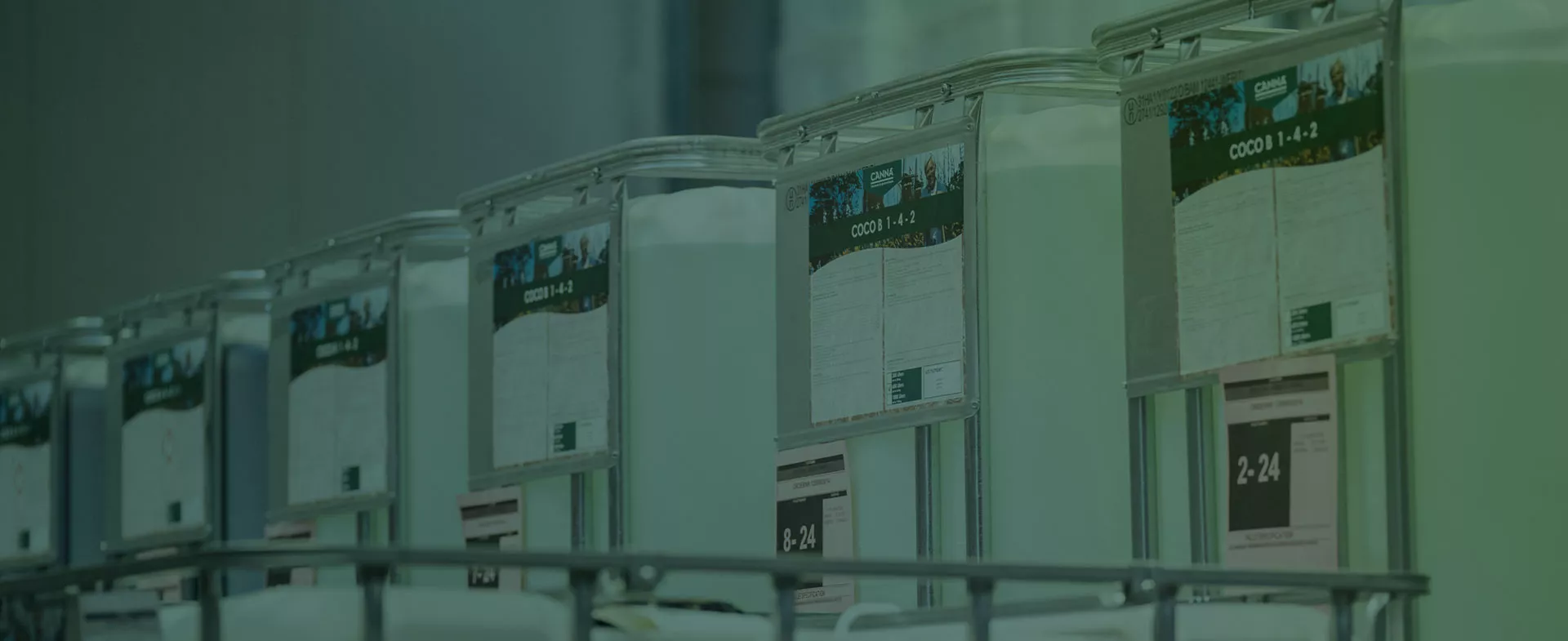 From seed to success - Let's talk commercial scale