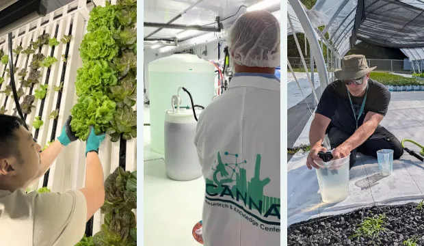 Certified Organic Solutions for Commercial Growers