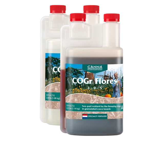 CANNA COGr Flores