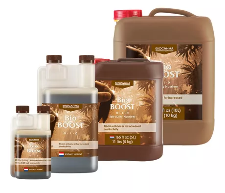 BioBOOST