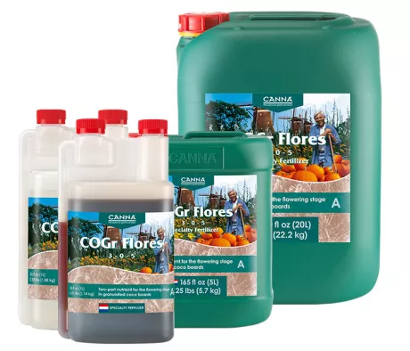 CANNA COGr Flores