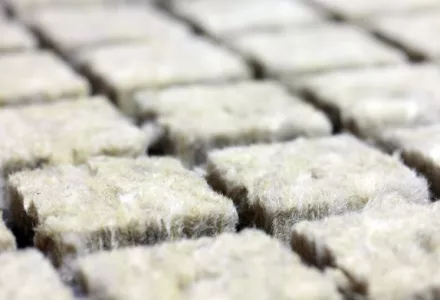 Close-up of unused rockwool cubes arranged in rows, ready for use in hydroponic gardening.