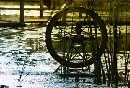 A water wheel partially submerged in a pond surrounded by reeds, with sunlight reflecting off the water's surface.