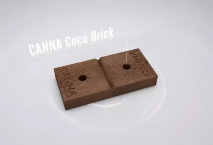 mayayan0929 【CANNA】COCO BRICK10個 Amazon.com : Canna Coco Brick 40l Expandable Natural Plant
