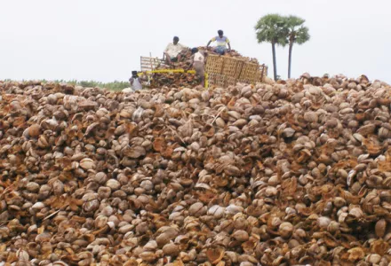 CANNA Coco Brick | CANNA Gardening USA