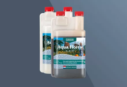 CANNA Aqua Flores