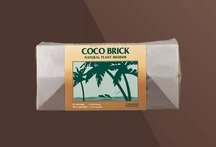 CANNA Coco Brick