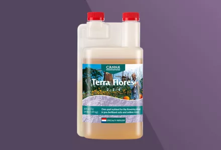 CANNA Terra Flores