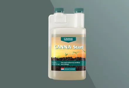 CANNA Start